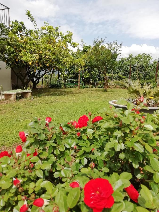 B&B Villa Le Mattine Agropoli Luaran gambar